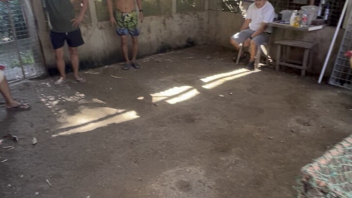 Hatch Grey (2 yrs & 6 mos.)