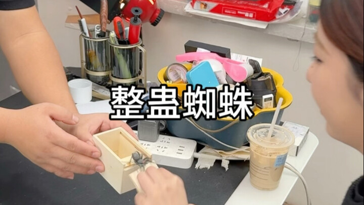 صندوق العناكب المخادع هذا ممتع جدًا! #ألعاب_مخادعة #اللعب_بالألعاب