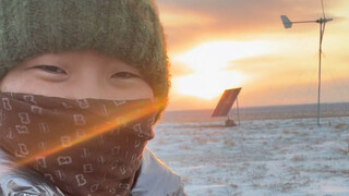 Người, dê, mèo… những ngày tuyết rơi ở nhà. Trừ sói ngốc ra!