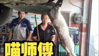 汽修工遇到的离谱故障,师傅你是做什么工作的