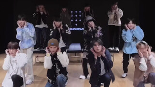 【Treasure】Darari练习室 演唱会最初公开