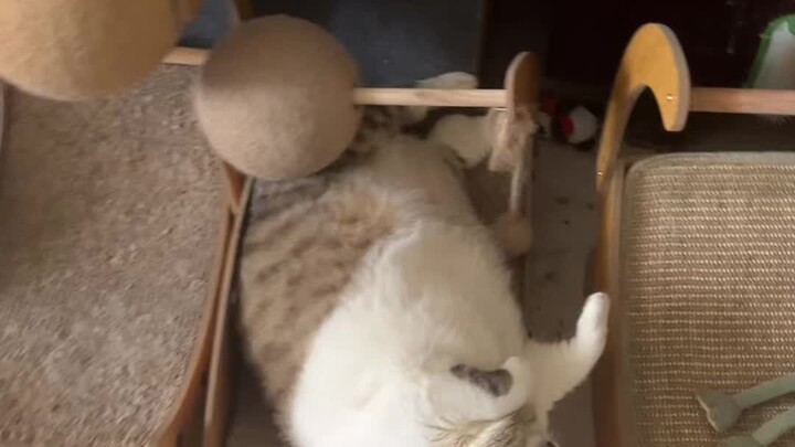 Sepertinya orang aneh