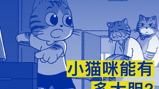 你做过最大胆的事情是？