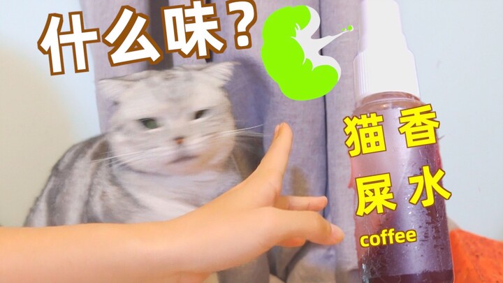 把猫屎咖啡做成香水喷在身上给猫闻！猫会喜欢吗？