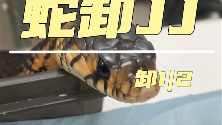 If I lose this one half, what fraction of you can I still be?