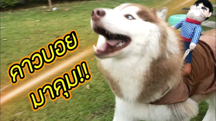 ช่วงนี้ดื้อหนัก!! จัดพี่คาวบอยมาคุมซะ...เป็นไงล่ะ