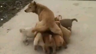 لم يتبق هناك حقا أي قطرة.