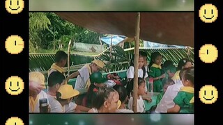 boys scouht vs girl scout