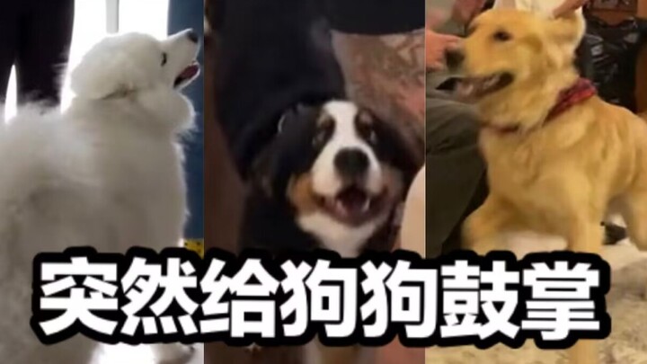 ขอเสียงปรบมือให้กับเจ้าตูบน่ารักที่สุดในโลกทุกตัว!