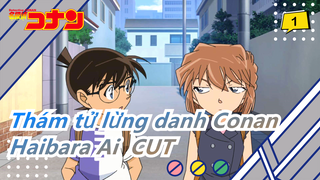 Thám tử lừng danh Conan | Haibara Ai  CUT TV675-705
(Phần 13  Bóng đen tấn công Haibara)_1