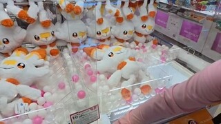 Live at the Arcade in Japan! GIGO