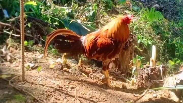 tuloy tuloy lang maabot natin yan 💯