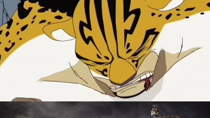 rob luccy vs luffy