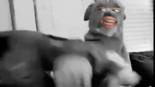 不要逼我
