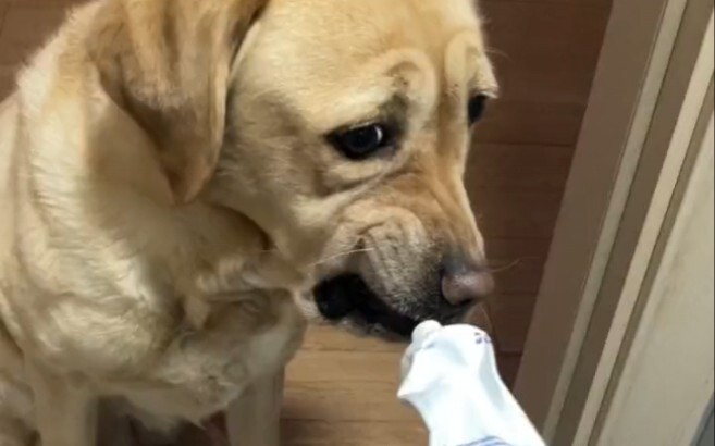 吃屎都没见你这个表情。。。