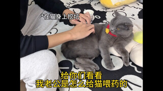 我老公脑回路绝了，居然这样给猫喂药！