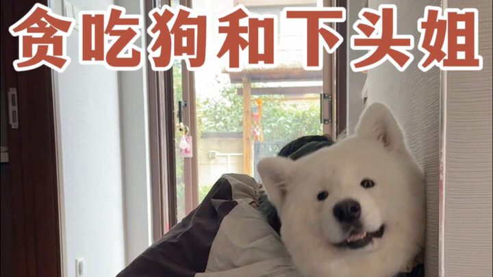 Anjing Pelahap dan Kakak yang Ngeselin