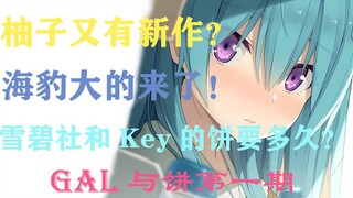新作挺少但饼大又圆？Gal圈都有些什么卫星?是遥遥无期还是近在眼前？（饼盘点第一期）