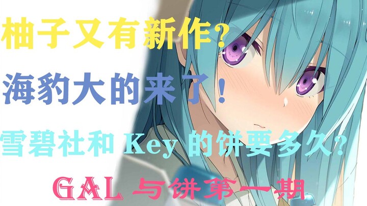 新作挺少但饼大又圆？Gal圈都有些什么卫星?是遥遥无期还是近在眼前？（饼盘点第一期）