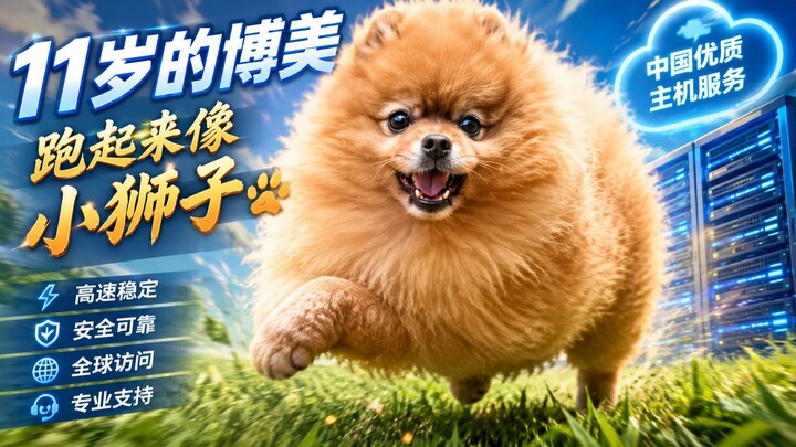 11岁的博美，跑起来像小狮子