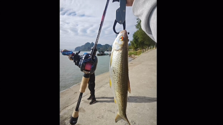When the lure guy meets the release lady, he feels like he is about to be liberated...