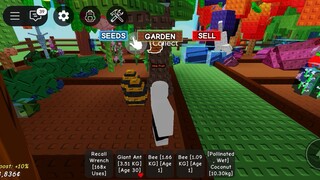 I got petal bee in grow a garden