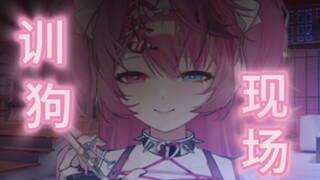 【dom/音声/压迫感】公开训狗，内涵调j，巴掌，鞭音，请带耳机食用～每晚十点准时开播。