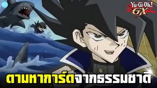 Yu-Gi-Oh! - การตามหาการ์ดจากธรรมชาติของมันโจเมะ