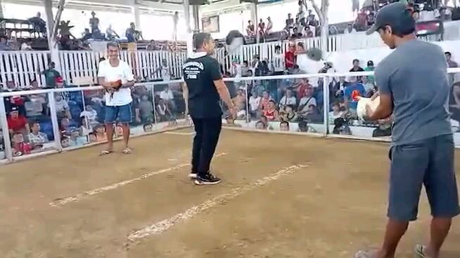 pila colisium win 11