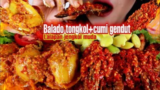 ASMR BALADO IKAN TONGKOL CUMI GENDUT ISI TELUR DAN LALAPAN JENGKOL MUDA | ASMR MUKBANG INDONESIA