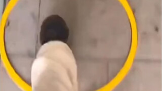 Chúng ta đã đồng ý giữ khoảng cách một mét, tại sao lại phải dài hơn?