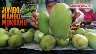 JUMBO MANGO MUKBANG #JANDELVLOGS #JANDELVLOGSPH #VIRAL #TRENDING #FORYOU #FYP #MANGO #MUKBANG