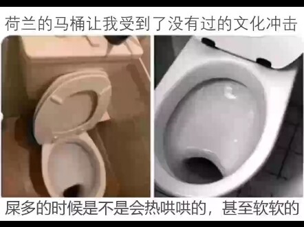 This toilet has given me an unprecedented cultural shock…