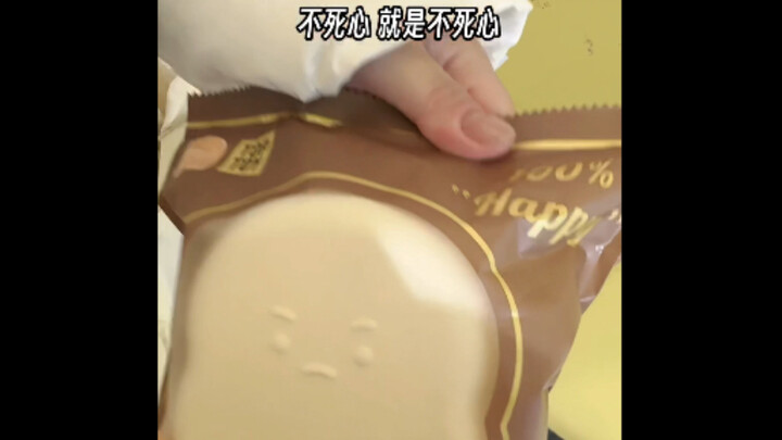 It’s already a wish come true.