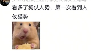 猫猫：有趣！鼠：人，你在嚣张什么？