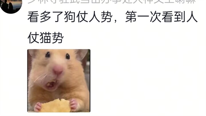 猫猫：有趣！鼠：人，你在嚣张什么？