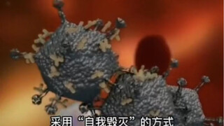 Why do we get a fever after infection? Simply put: your immune system goes haywire! #FightingTheEpid