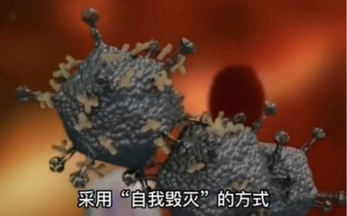 لماذا ترتفع درجة الحرارة بعد الإصابة؟ ببساطة: نظام المناعة لديك يصبح مجنونًا! #مكافحة_الوباء #فيروس_