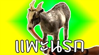 แพะนรก | goat simulator