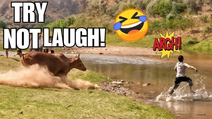 🔴有趣的视频让你的一天更加精彩🔴 Try Not to Laugh 🔴