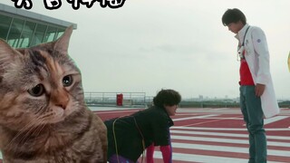 【Pameng】Palad beaten cat meme