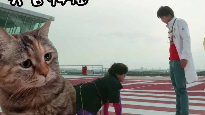 【Pameng】Palad beaten cat meme