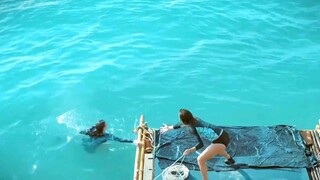 五个年轻人旅途中意外坠海，面对鲨鱼的恐怖袭击，结果只剩一人 "！