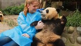 When Animals Did Cute Things And Warmed Your Hearts ❤️️Animal Show Love