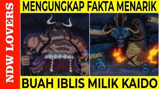 BENAR BENAR MENGEJUTKAN!!! FAKTA UNIK BUAH IBLIS MILIK KAIDO