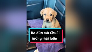 Hôm qua tớ lói đùa thôi mà. Mọi người cứ mắng tớ. Thả tim để đợi clip mua áo cho e ha. Hihi. cunyeucuadua chó chócon chókhôn chócute