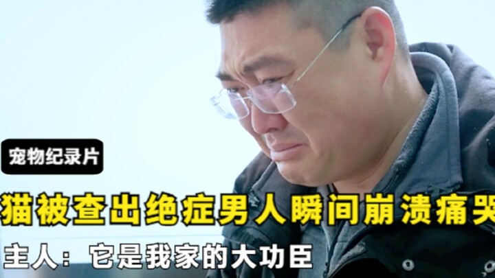 แมวที่เลี้ยงมา 6 ปีถูกตรวจพบเป็นโรคร้ายแรง ชายคนนั้นใจสลายร้องไห้โฮ เจ้าของบอก: ต่อให้ใช้เงินล้านก็ต