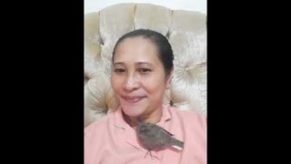 My Cute Little Bird I Found it Falling From the Nest Don't Have Yet a Feather And I Bring It