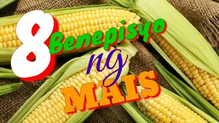 BENEPISYO NG MAIS | MEDICINAL PLANT | Tenrou21