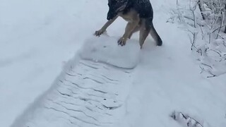 各式各样的滚雪球，真好玩~